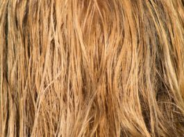 Maschera-per-capelli-secchi
